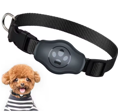 Dog Collar with Airtag Tracker holder