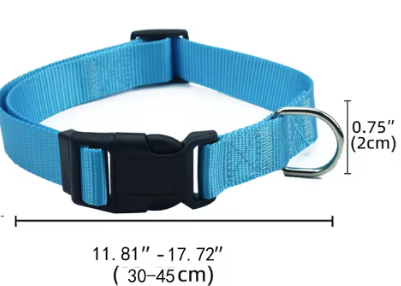 Dog Collar without AirTag Tracker