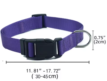 Dog Collar without AirTag Tracker